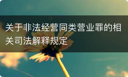 关于非法经营同类营业罪的相关司法解释规定