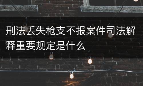 刑法丢失枪支不报案件司法解释重要规定是什么