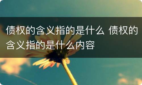 债权的含义指的是什么 债权的含义指的是什么内容