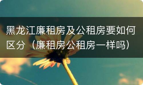 黑龙江廉租房及公租房要如何区分（廉租房公租房一样吗）