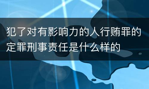 犯了对有影响力的人行贿罪的定罪刑事责任是什么样的