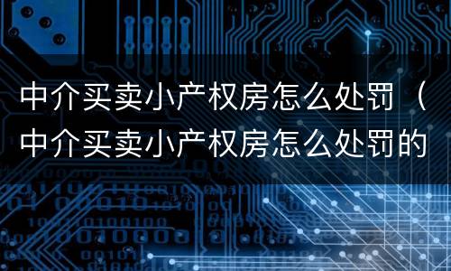 中介买卖小产权房怎么处罚（中介买卖小产权房怎么处罚的）