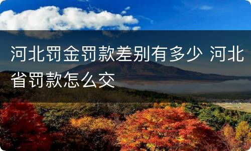 河北罚金罚款差别有多少 河北省罚款怎么交