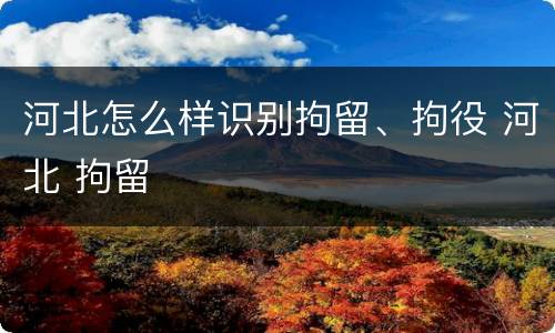 河北怎么样识别拘留、拘役 河北 拘留