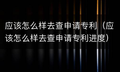 应该怎么样去查申请专利（应该怎么样去查申请专利进度）