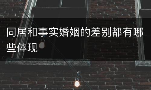 同居和事实婚姻的差别都有哪些体现