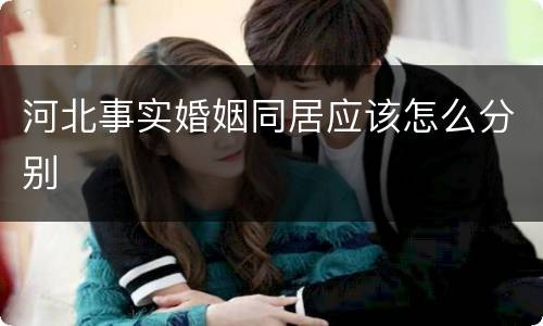 河北事实婚姻同居应该怎么分别