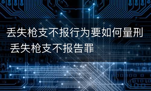 丢失枪支不报行为要如何量刑 丢失枪支不报告罪