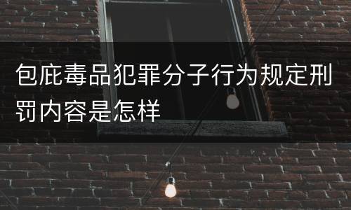 包庇毒品犯罪分子行为规定刑罚内容是怎样