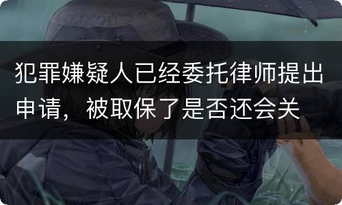 犯罪嫌疑人已经委托律师提出申请，被取保了是否还会关