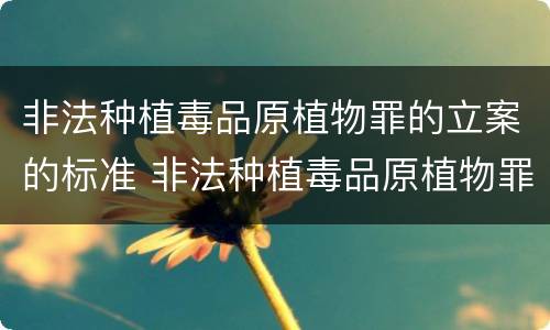 非法种植毒品原植物罪的立案的标准 非法种植毒品原植物罪的立案的标准是多少