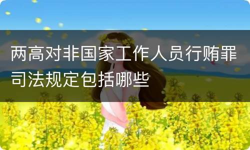 两高对非国家工作人员行贿罪司法规定包括哪些