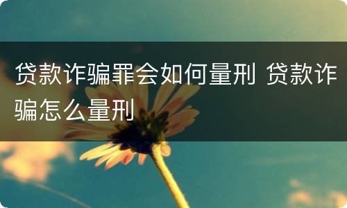贷款诈骗罪会如何量刑 贷款诈骗怎么量刑
