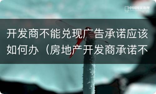 开发商不能兑现广告承诺应该如何办（房地产开发商承诺不兑现,怎么处罚）
