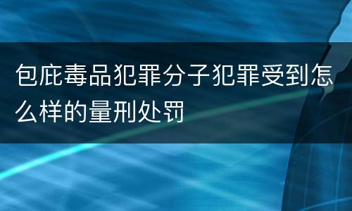 包庇毒品犯罪分子犯罪受到怎么样的量刑处罚